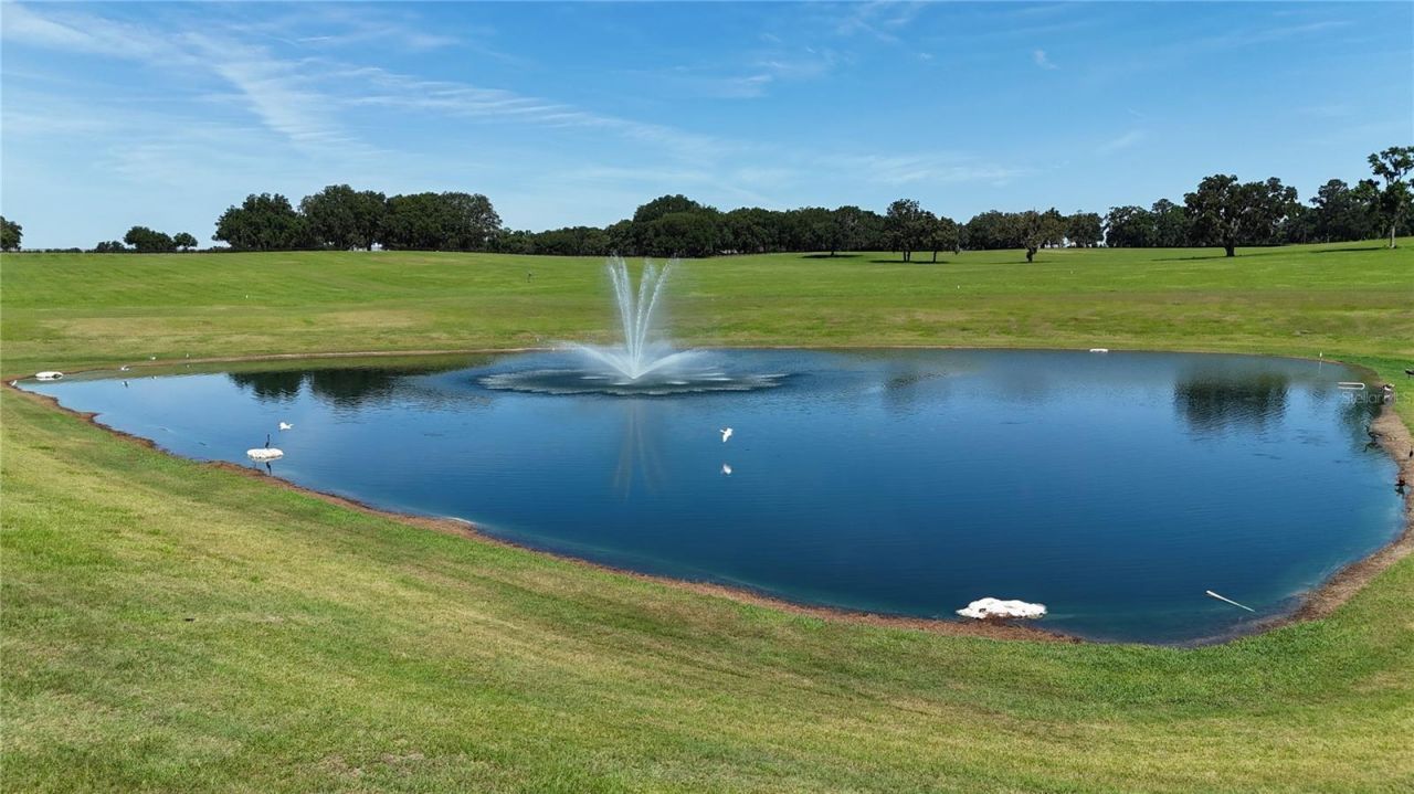 6500 SE 193rd Street, Micanopy, FL 32667 Photo