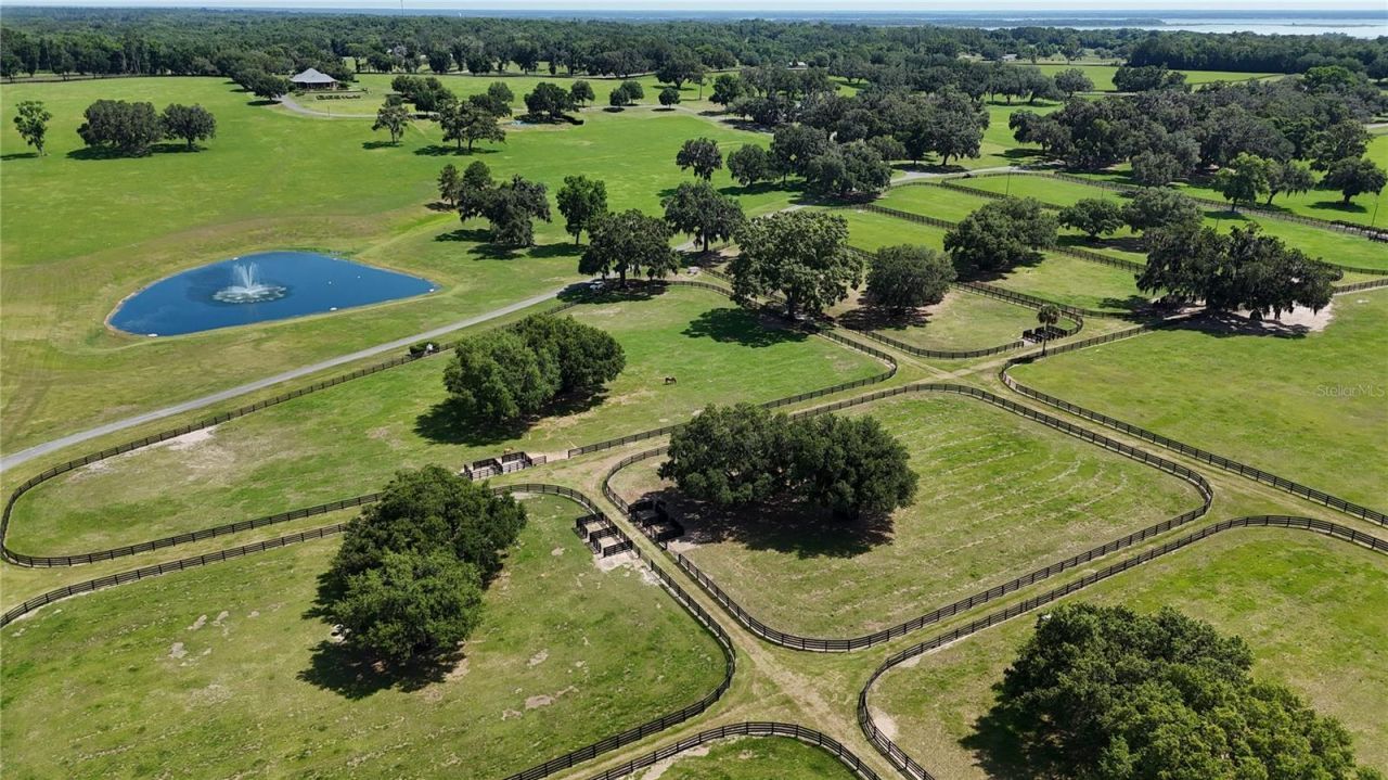 6500 SE 193rd Street, Micanopy, FL 32667 Photo