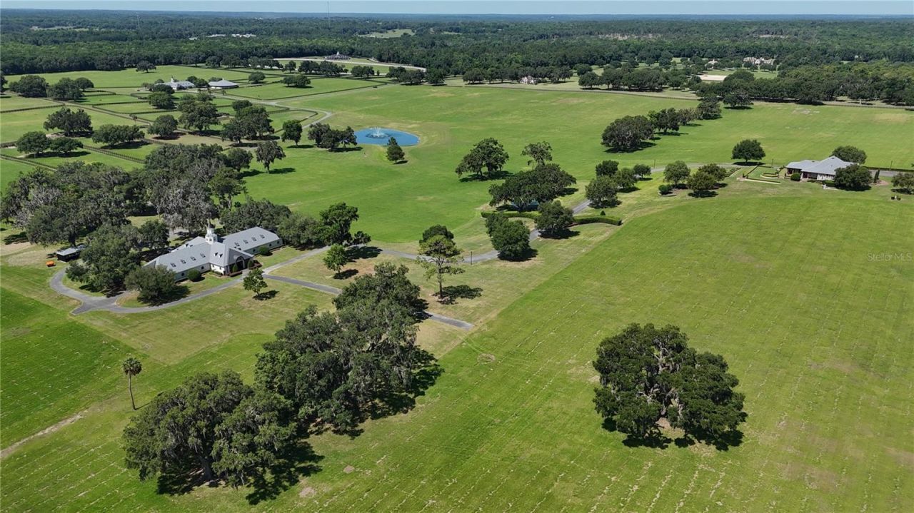 6800 SE 193rd Street, Micanopy, FL 32667 Photo