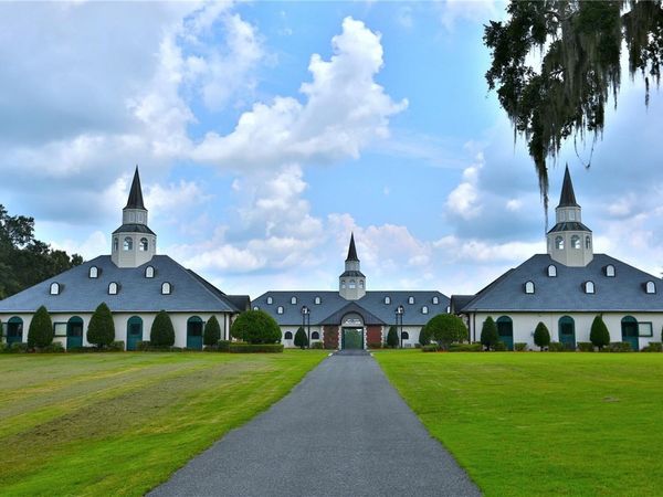 6800A NW 193RD STREET, Unit Option 1, MICANOPY, FL 32667