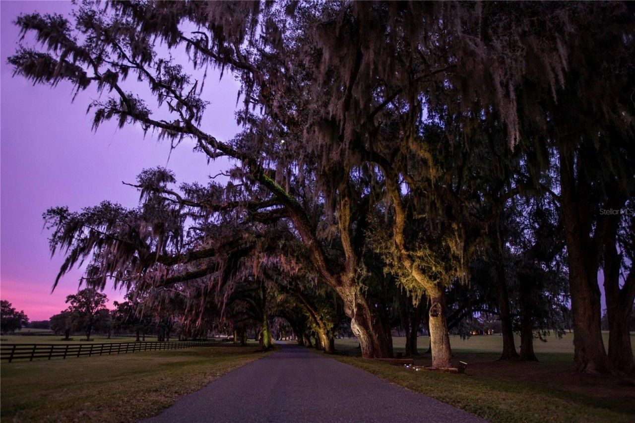 6800a NW 193rd Street, Unit Option 1, Micanopy, FL 32667 Photo