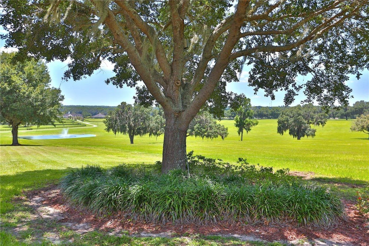 6500 & 6800 NW 193rd Street, Micanopy, FL 32667 Photo