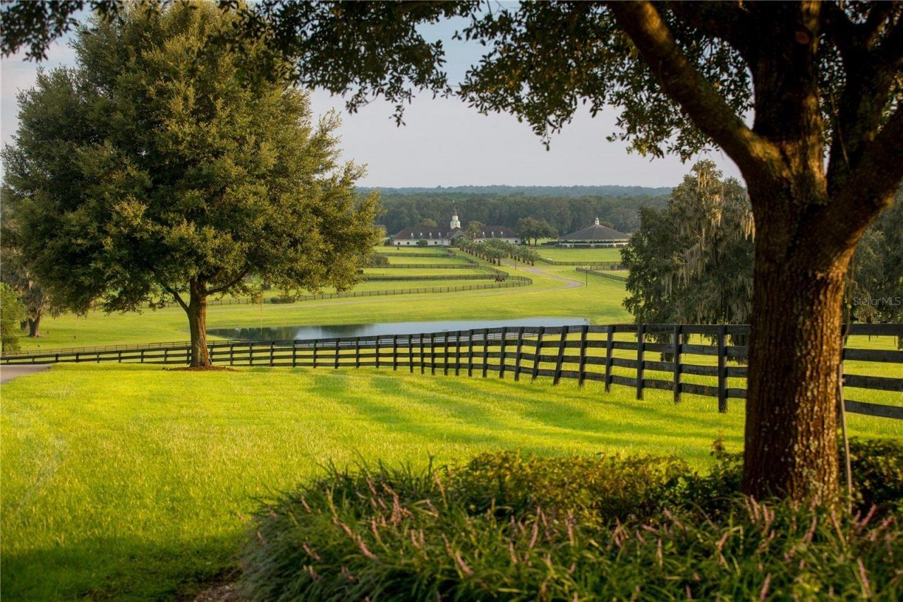 6500 & 6800 NW 193rd Street, Micanopy, FL 32667 Photo