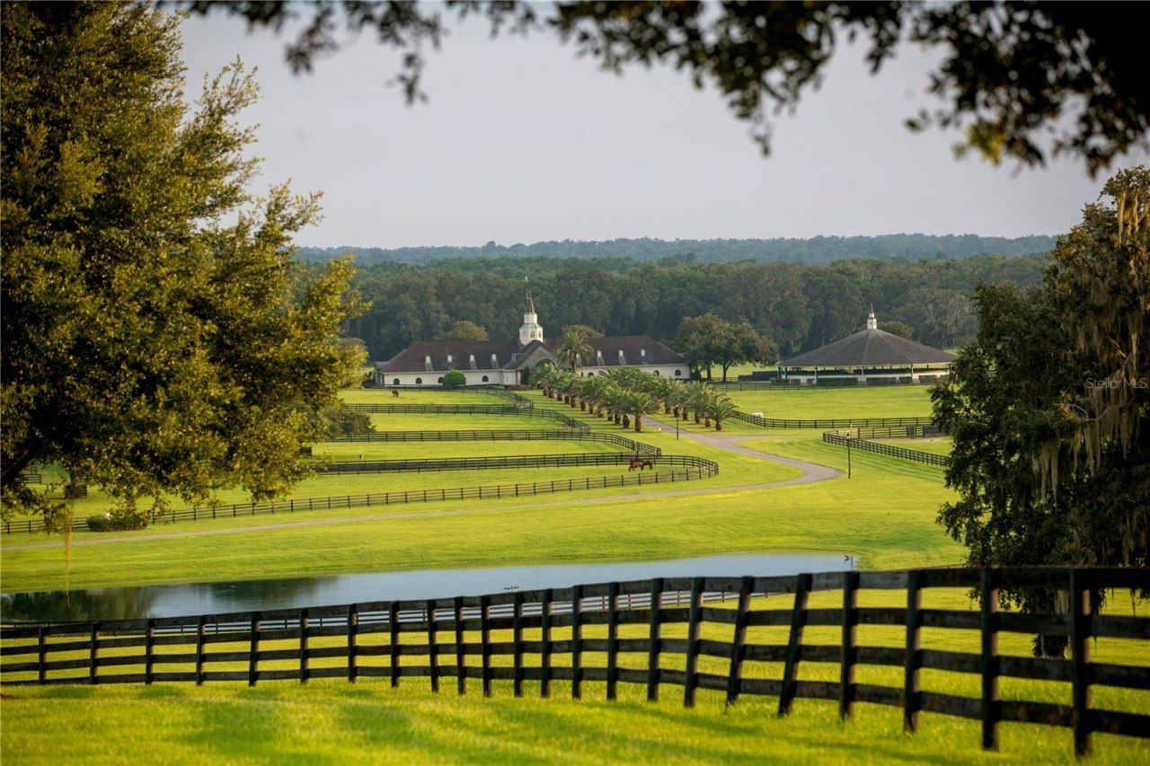 6500 & 6800 NW 193rd Street, Micanopy, FL 32667 Photo