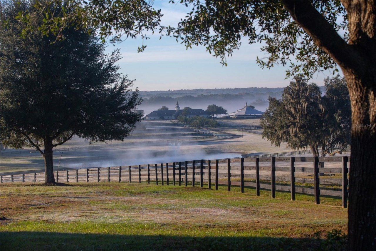 6500 & 6800 NW 193rd Street, Micanopy, FL 32667 Photo