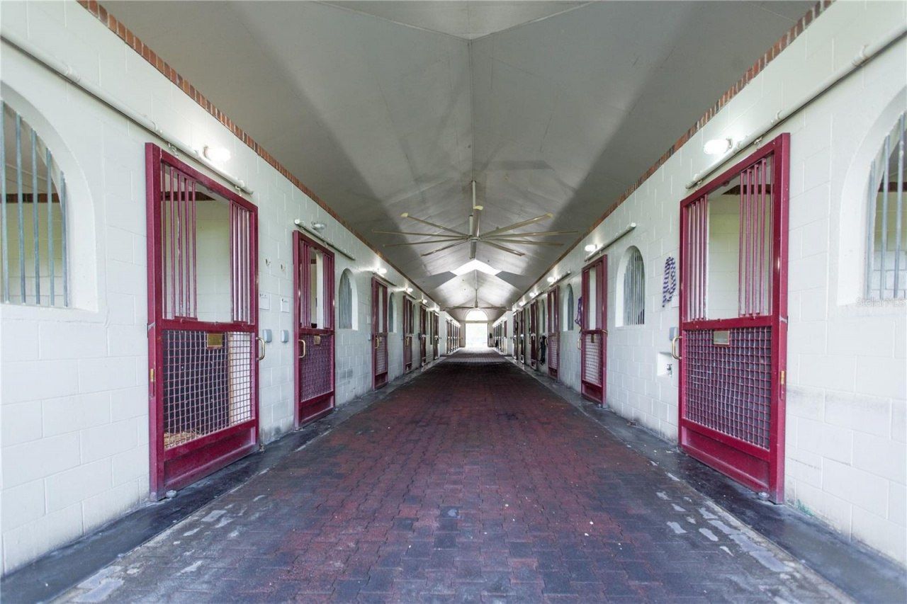 6500 & 6800 NW 193rd Street, Micanopy, FL 32667 Photo