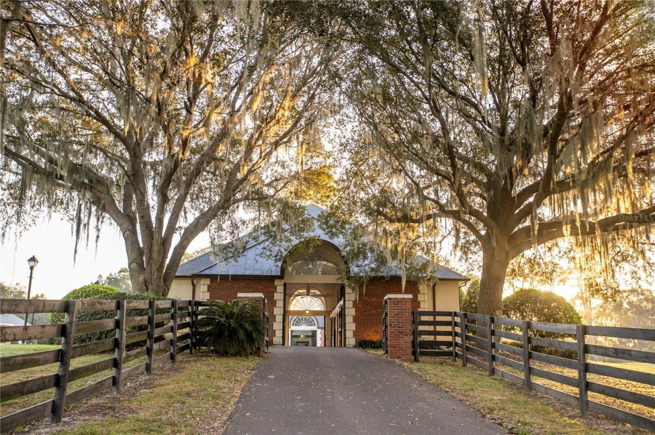 6500 & 6800 NW 193rd Street, Micanopy, FL 32667 Photo