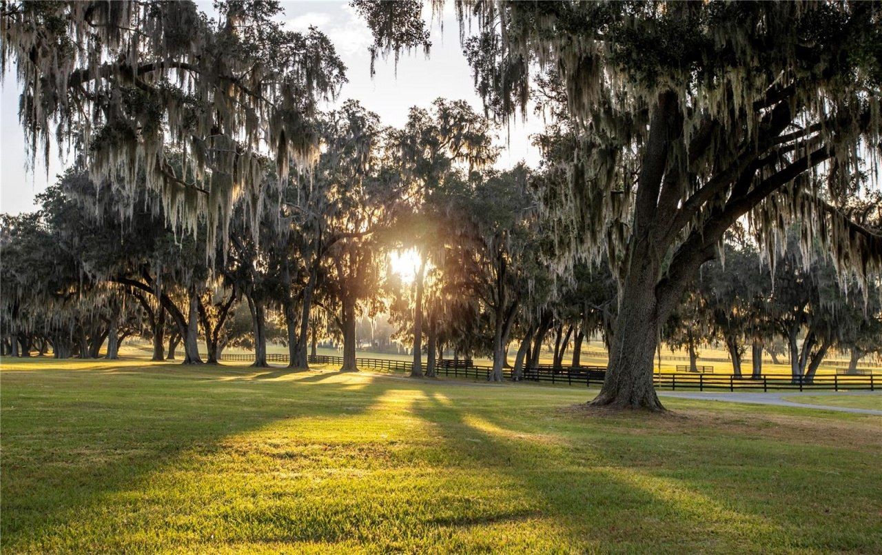 6500 & 6800 NW 193rd Street, Micanopy, FL 32667 Photo