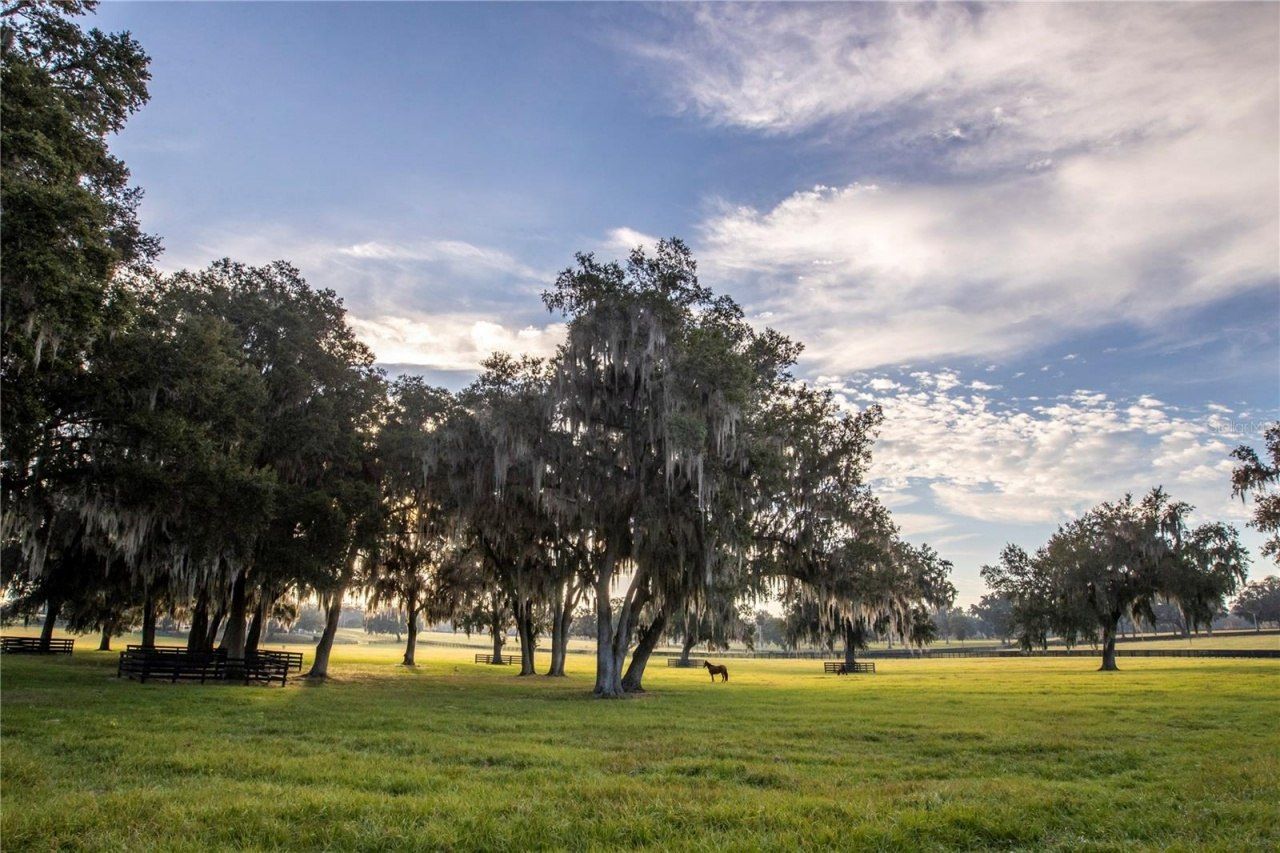 6500 & 6800 NW 193rd Street, Micanopy, FL 32667 Photo