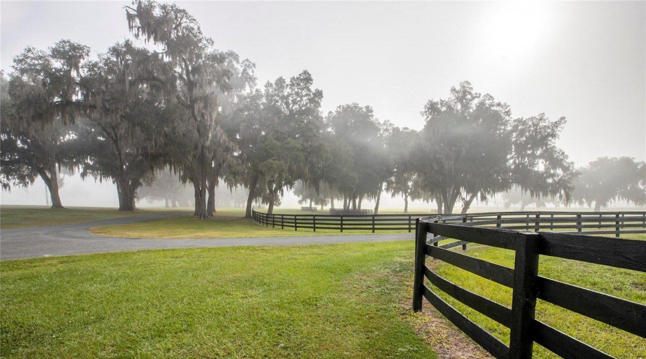 6500 & 6800 NW 193rd Street, Micanopy, FL 32667 Photo