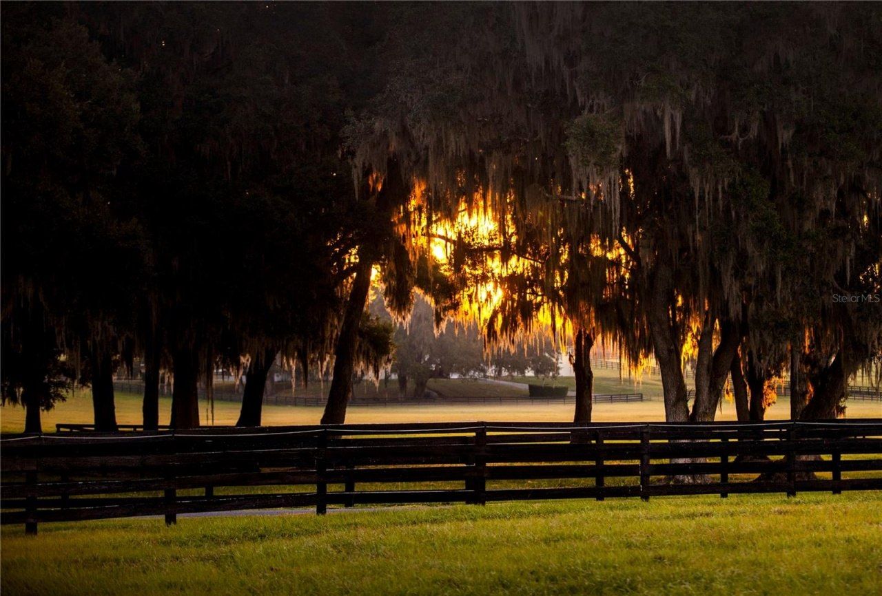 6500 & 6800 NW 193rd Street, Micanopy, FL 32667 Photo