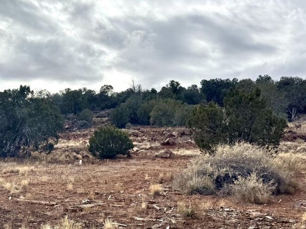 7651 BAR DITCH Road, Unit 70, Show Low, AZ 85901