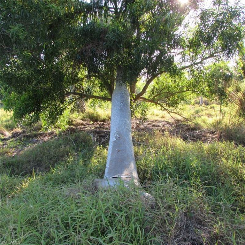 10011 Stringfellow Rd, Saint James City, FL 33956 Photo