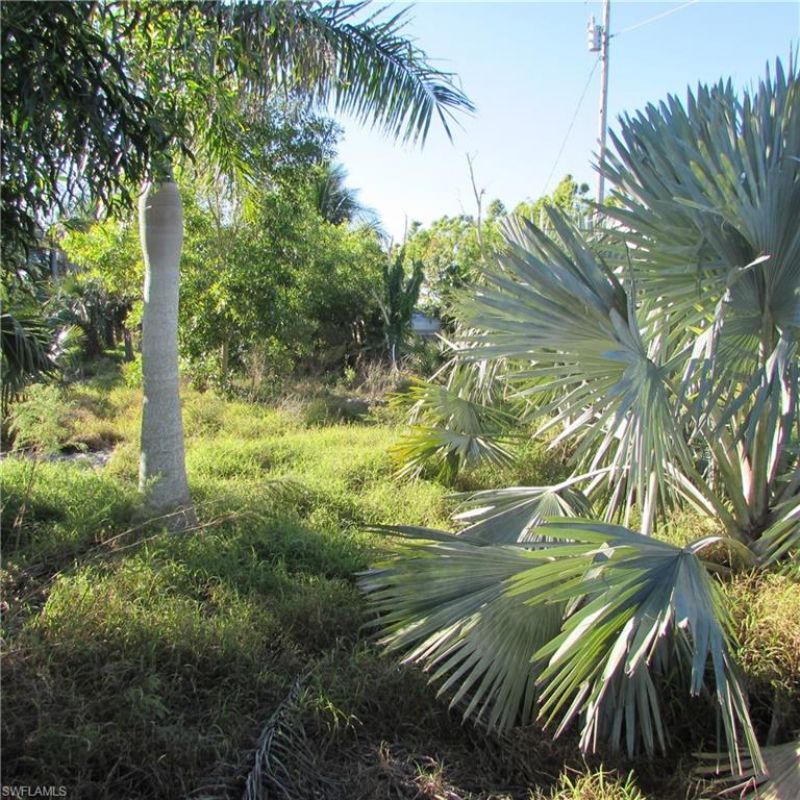 10011 Stringfellow Rd, Saint James City, FL 33956 Photo