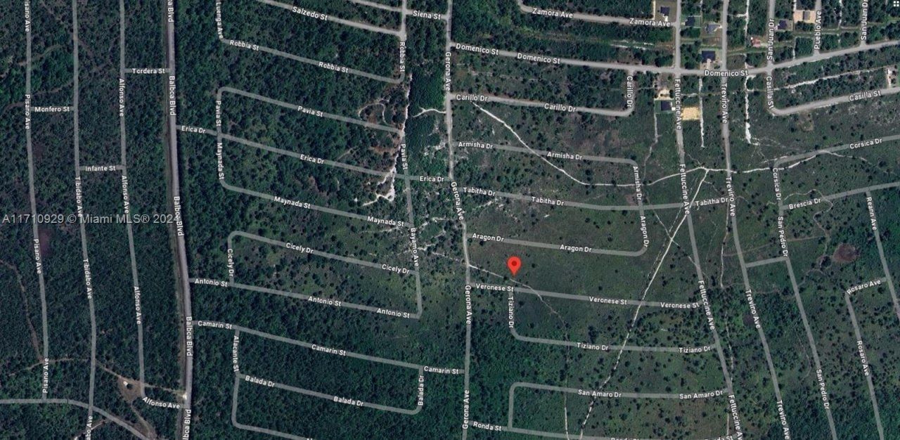 8136 Veronese Street, Sebring, FL 33872 Photo