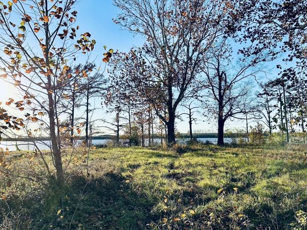 0 E/S Lake Mary Road, Woodville, MS 39669