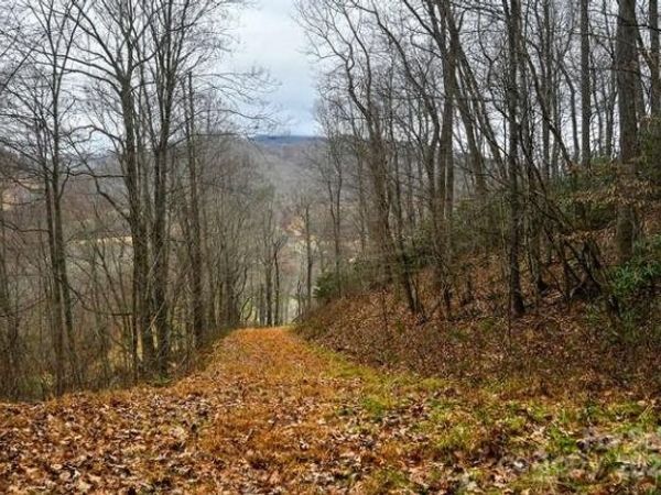 19 Flowing Hills Drive, Clyde, NC 28721