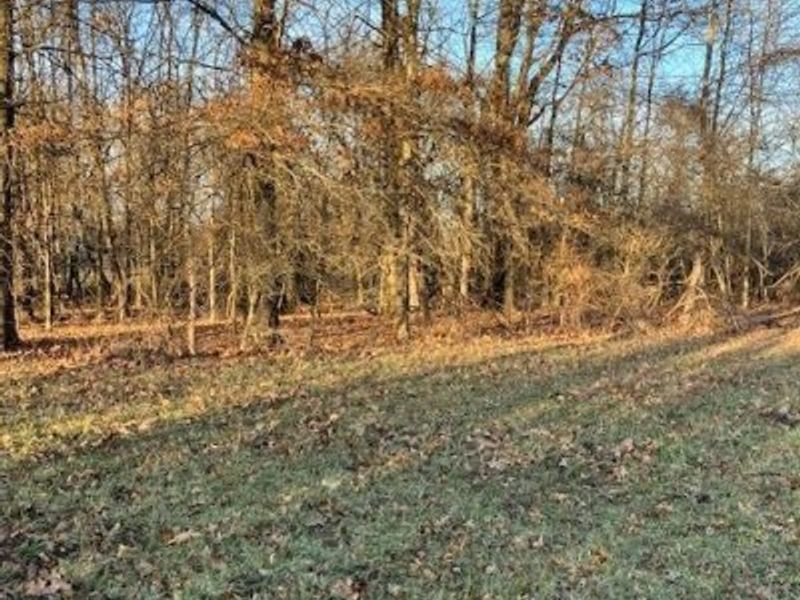 0 State Route 37, Unit 14.15 acre, Sunbury, OH 43074 Photo 7