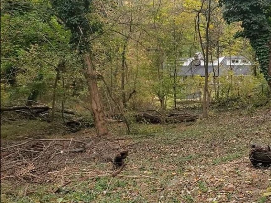 E D Street, Brunswick, MD 21716 Main Photo