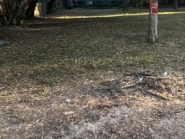 923 Artesian Ave, Pensacola, FL 32505