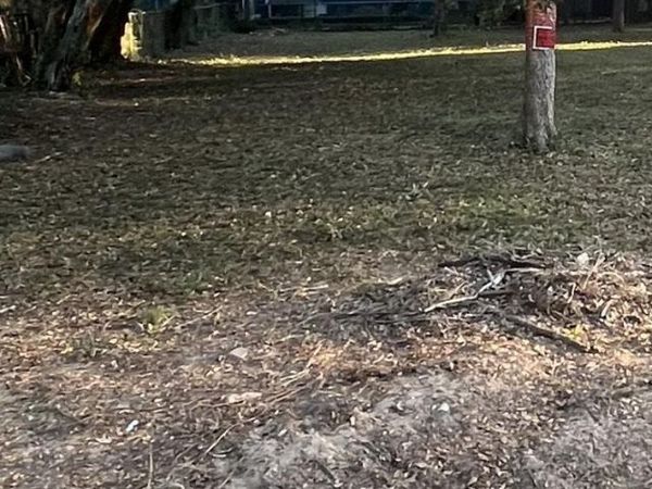 923 Artesian Ave, Pensacola, FL 32505