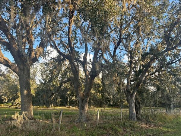 WAUCHULA, FL 33873