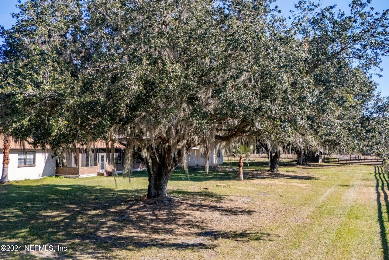 11289 SW 85th Avenue, Hampton, FL 32044 Photo