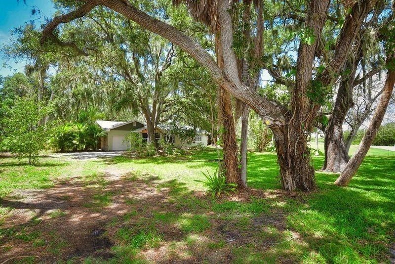 160 Bayshore Drive, Terra Ceia, FL 34250 Photo