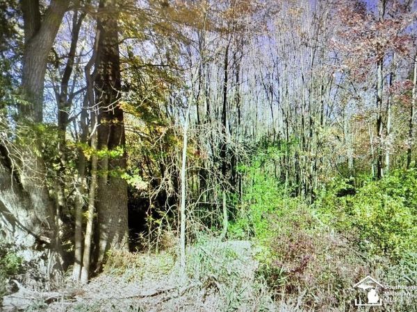 49570 Bog Road, Van Buren Twp, MI 48111