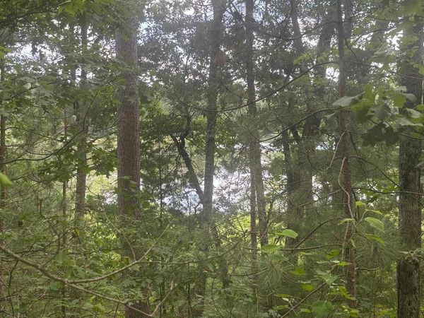 SWAN BAY ROAD, Amberg, WI 54102