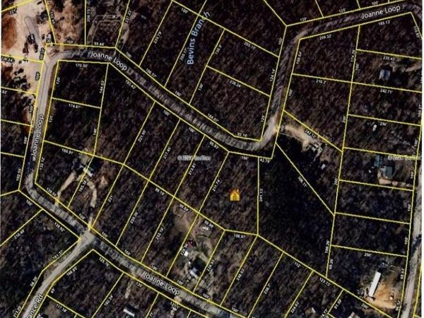 0058 JOANNE LOOP, Savannah, TN 38372