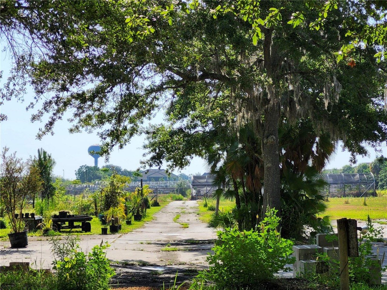 1955 S Apopka Vineland Road, Orlando, FL 32835 Photo