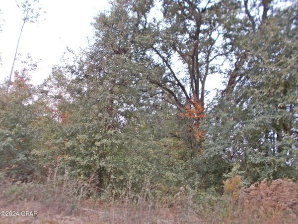 00 Green Road, Greenwood, FL 32443