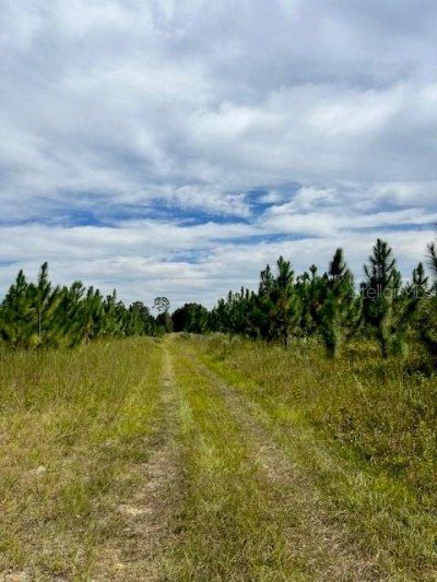 759 SW Upchurch Avenue, Lake City, FL 32024 Photo