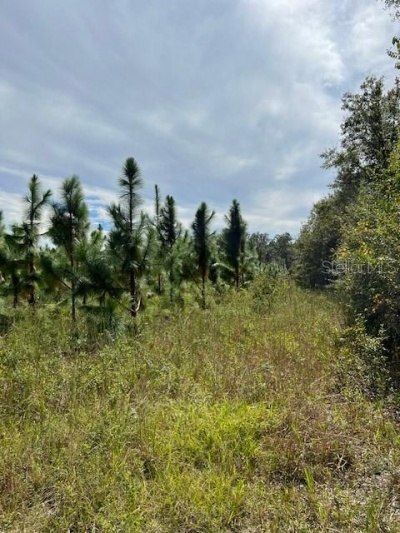 759 SW Upchurch Avenue, Lake City, FL 32024 Photo