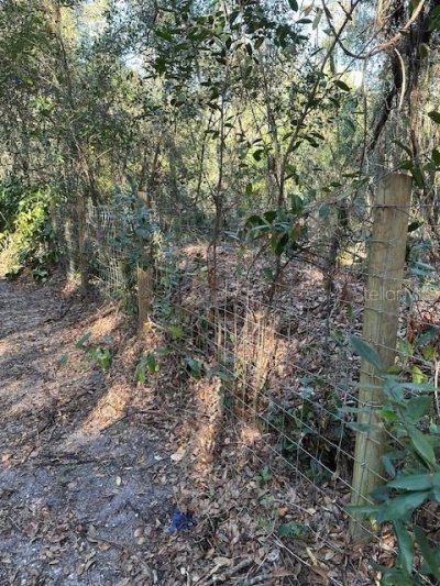 1918 Mountain Lake Cutoff Road, Lake Wales, FL 33859 Photo