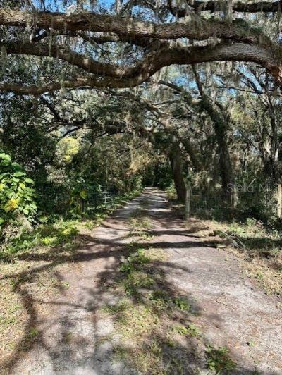1918 Mountain Lake Cutoff Road, Lake Wales, FL 33859 Photo