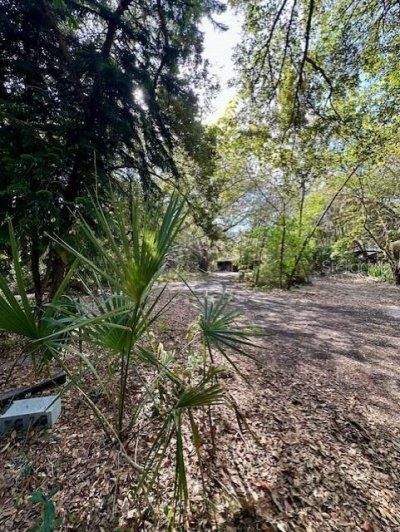 1918 Mountain Lake Cutoff Road, Lake Wales, FL 33859 Photo