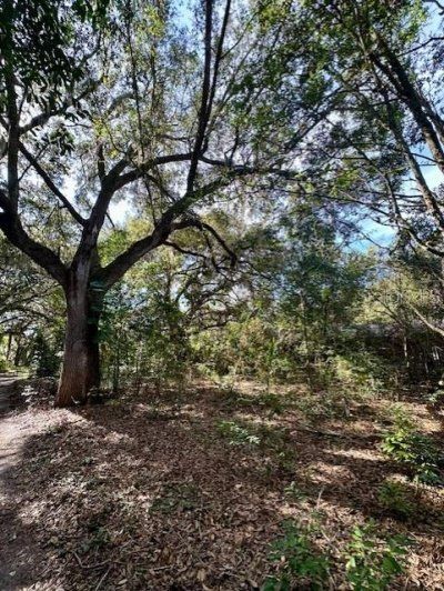 1918 Mountain Lake Cutoff Road, Lake Wales, FL 33859 Photo