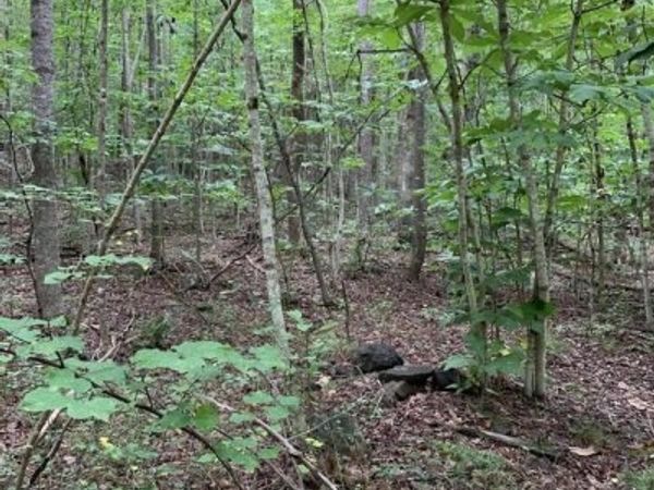 GLADE RD, SCHUYLER, VA 22969