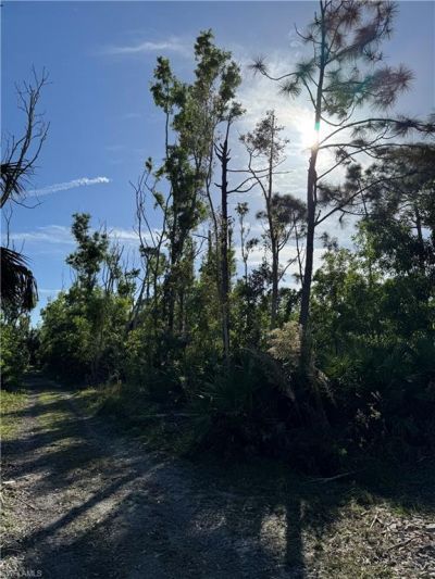 7001 Guava Ave, Bokeelia, FL 33922 Photo