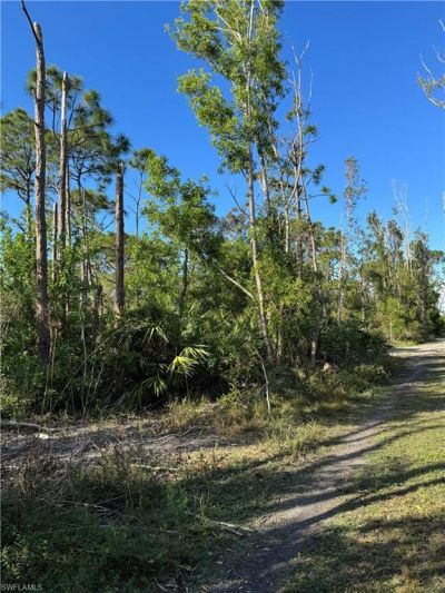 7001 Guava Ave, Bokeelia, FL 33922 Photo