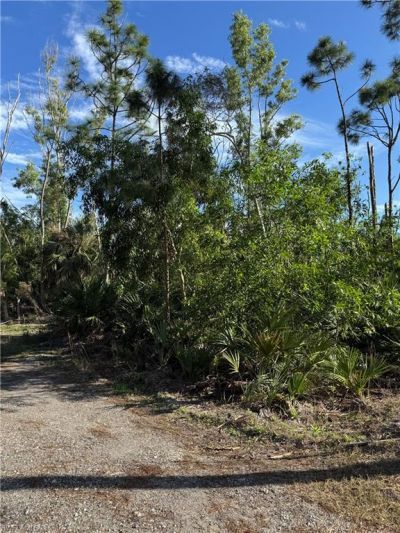 7001 Guava Ave, Bokeelia, FL 33922 Photo