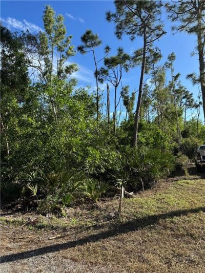 7001 Guava Ave, Bokeelia, FL 33922 Photo