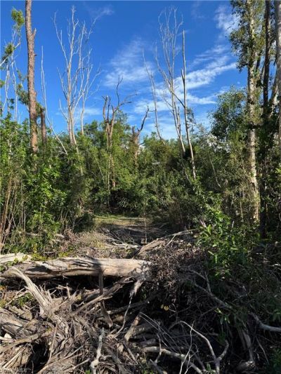 7001 Guava Ave, Bokeelia, FL 33922 Photo