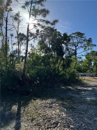 7001 Guava Ave, Bokeelia, FL 33922 Photo