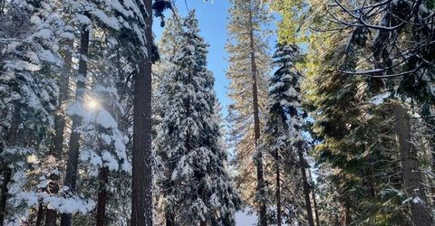 Mckilligan North Rd, Nevada City, CA 95959 Photo