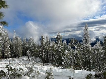 Mckilligan North Rd, Nevada City, CA 95959 Photo