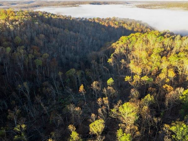 0 County Road 336, Annapolis, MO 63620