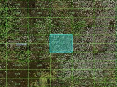 OLD GRADE RD, POLK CITY, FL 33868